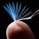 Multiple-exposure image of the new shape-memory polymer reverting to its original shape.